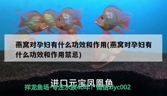 龍魚用藥注意事項(xiàng)：龍魚用藥注意事項(xiàng)有哪些 祥龍水族醫(yī)院 第2張