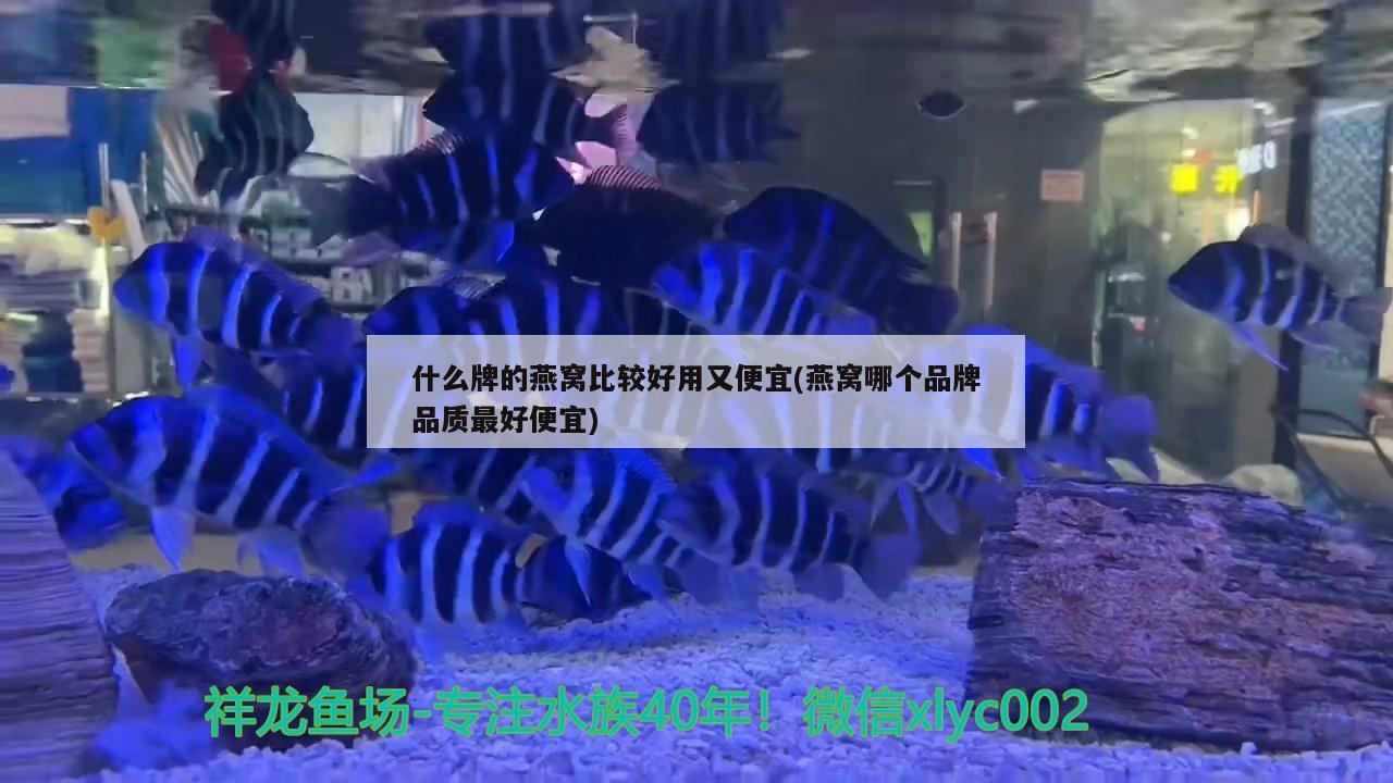 森森魚缸上蓋拆卸：森森魚缸蓋拆卸教程 養(yǎng)魚的好處 第1張