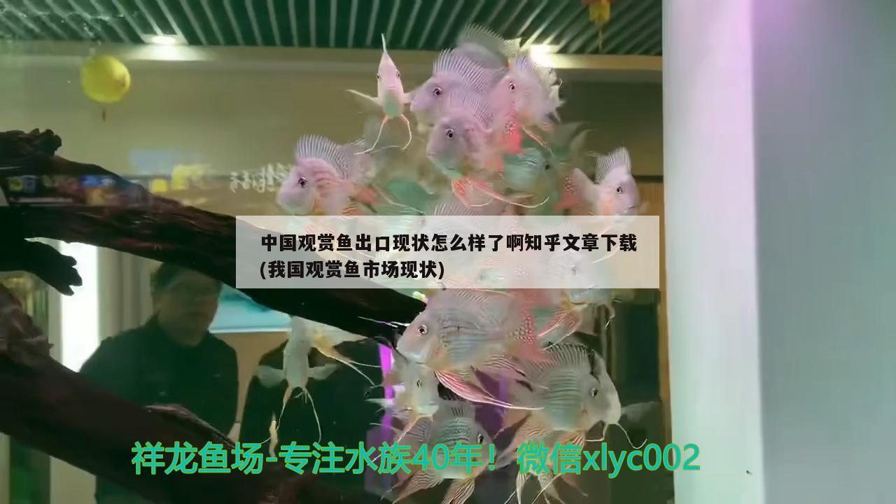 中國觀賞魚出口現(xiàn)狀怎么樣了啊知乎文章下載(我國觀賞魚市場現(xiàn)狀) 觀賞魚進(jìn)出口