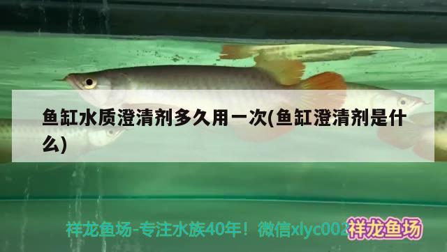 魚缸水質(zhì)澄清劑多久用一次(魚缸澄清劑是什么)