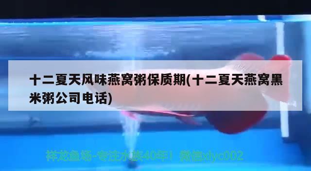 秦皇島觀賞魚市場正確理解老三樣別一股腦的跟風