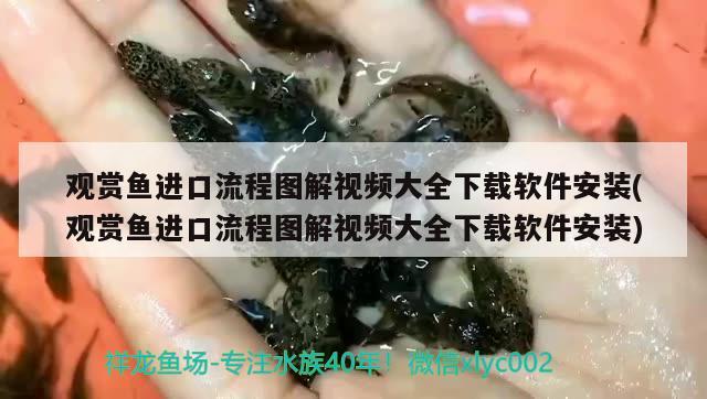 觀賞魚進口流程圖解視頻大全下載軟件安裝(觀賞魚進口流程圖解視頻大全下載軟件安裝) 觀賞魚進出口