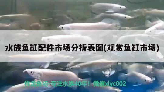 水族魚缸配件市場分析表圖(觀賞魚缸市場)