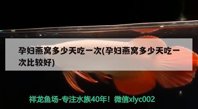 孕婦燕窩多少天吃一次(孕婦燕窩多少天吃一次比較好) 馬來西亞燕窩