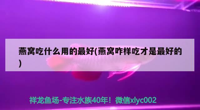 “國際水族飼養(yǎng)繁育培訓班”首次在煙臺開課 - 副本 全國水族館企業(yè)名錄 第3張