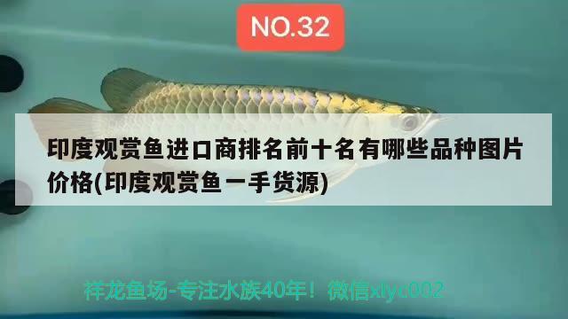 黑缸換白缸