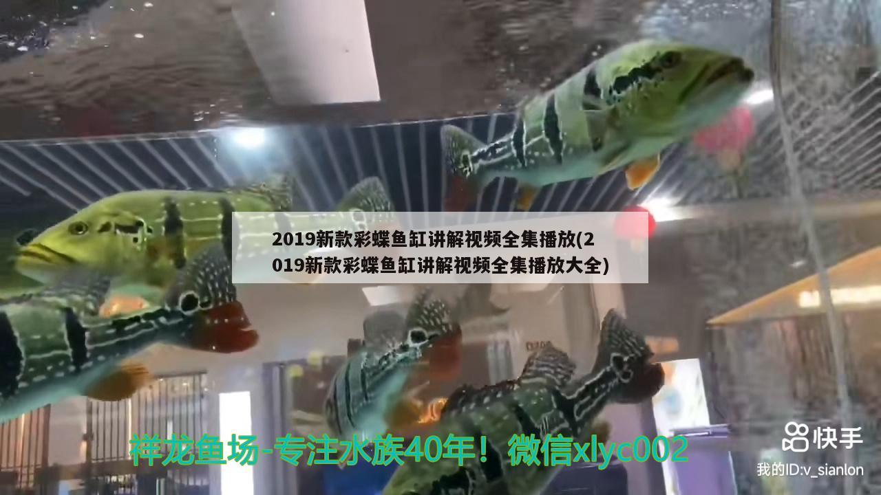 2019新款彩蝶魚缸講解視頻全集播放(2019新款彩蝶魚缸講解視頻全集播放大全)