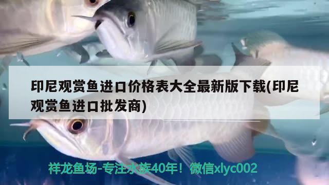 印尼觀賞魚進(jìn)口價格表大全最新版下載(印尼觀賞魚進(jìn)口批發(fā)商)