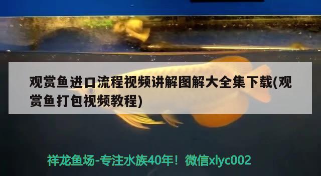 淄博魚缸廠家地址電話（大家是否清楚魚缸外置過濾價格便不便宜）