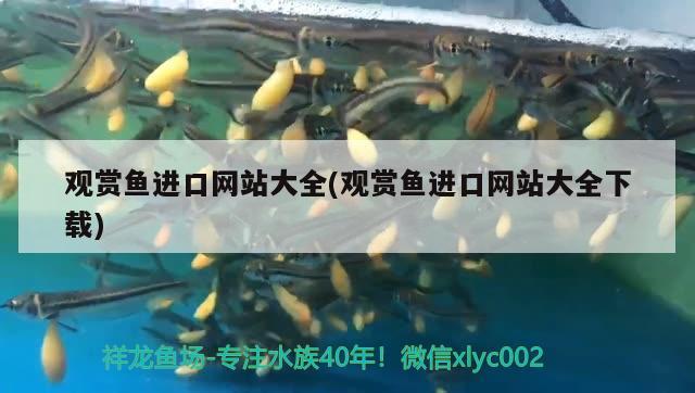 觀賞魚進口網(wǎng)站大全(觀賞魚進口網(wǎng)站大全下載) 觀賞魚進出口