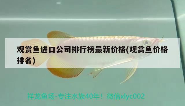 觀賞魚進口公司排行榜最新價格(觀賞魚價格排名) 觀賞魚進出口