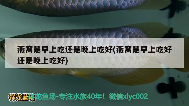 燕窩是早上吃還是晚上吃好(燕窩是早上吃好還是晚上吃好) 馬來西亞燕窩