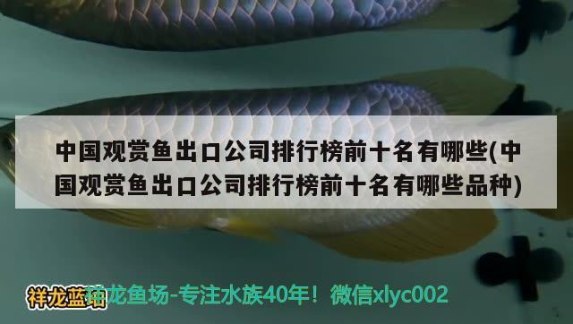 中國觀賞魚出口公司排行榜前十名有哪些(中國觀賞魚出口公司排行榜前十名有哪些品種) 觀賞魚進出口