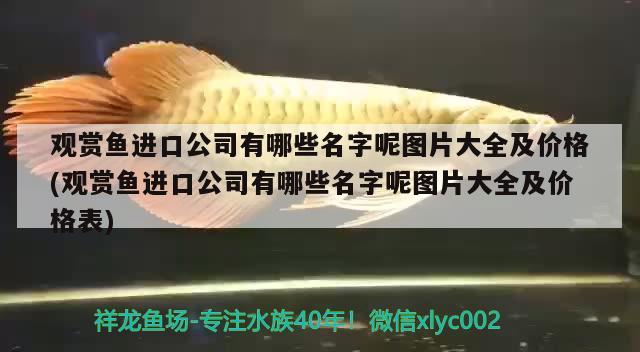 觀賞魚進(jìn)口公司有哪些名字呢圖片大全及價(jià)格(觀賞魚進(jìn)口公司有哪些名字呢圖片大全及價(jià)格表) 觀賞魚進(jìn)出口