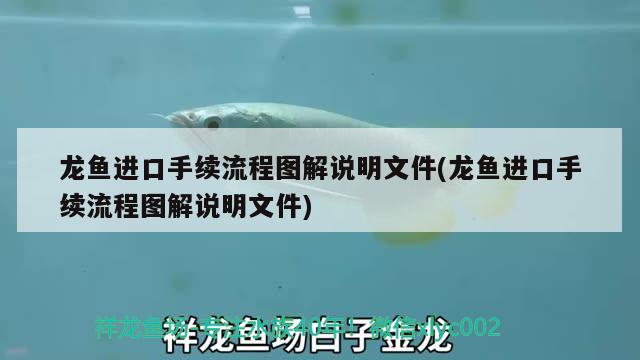 龍魚進口手續(xù)流程圖解說明文件(龍魚進口手續(xù)流程圖解說明文件)