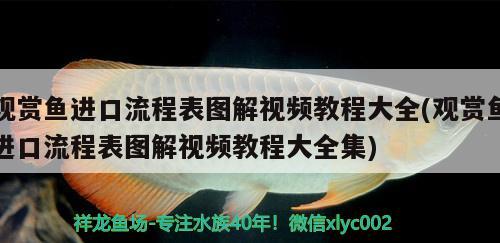 觀賞魚進(jìn)口流程表圖解視頻教程大全(觀賞魚進(jìn)口流程表圖解視頻教程大全集)