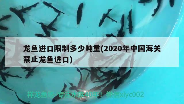 龍魚進(jìn)口限制多少噸重(2020年中國海關(guān)禁止龍魚進(jìn)口)