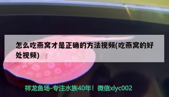 怎么吃燕窩才是正確的方法視頻(吃燕窩的好處視頻) 馬來西亞燕窩