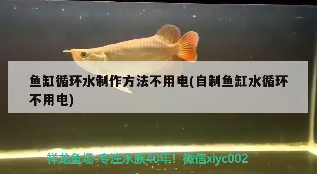 魚缸循環(huán)水制作方法不用電(自制魚缸水循環(huán)不用電) 虎斑恐龍魚