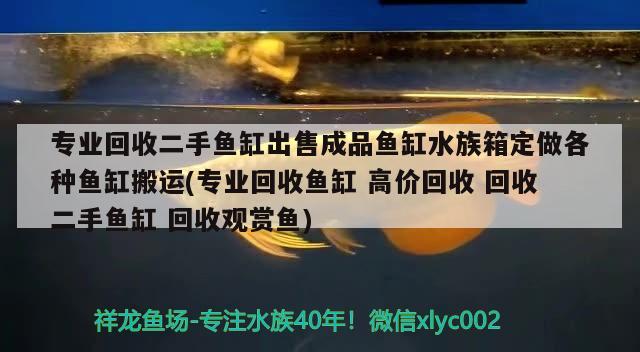 專業(yè)回收二手魚缸出售成品魚缸水族箱定做各種魚缸搬運(yùn)(專業(yè)回收魚缸高價(jià)回收回收二手魚缸回收觀賞魚) 魚缸/水族箱