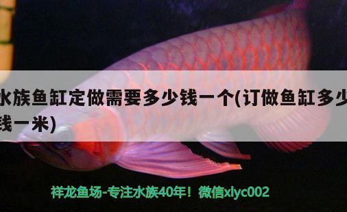 水族魚缸定做需要多少錢一個(訂做魚缸多少錢一米) 七彩神仙魚