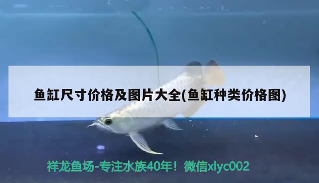 魚缸尺寸價(jià)格及圖片大全(魚缸種類價(jià)格圖)