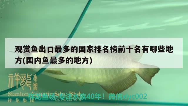 觀賞魚出口最多的國家排名榜前十名有哪些地方(國內(nèi)魚最多的地方) 觀賞魚進出口