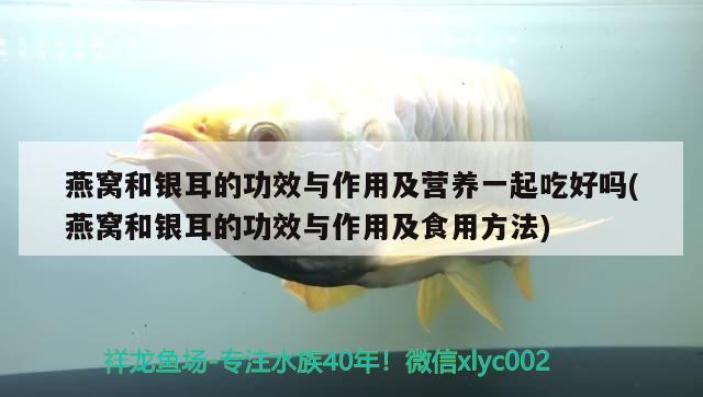 天津市寶坻區(qū)常青觀賞魚店 全國水族館企業(yè)名錄 第1張