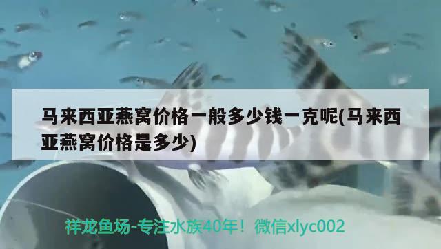 馬來西亞燕窩價格一般多少錢一克呢(馬來西亞燕窩價格是多少) 馬來西亞燕窩