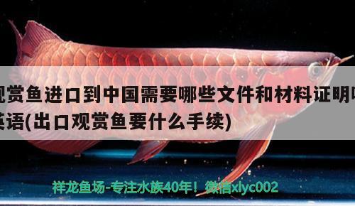 上海魚(yú)缸批發(fā)廠家直銷(xiāo)（成都魚(yú)缸批發(fā)廠家直銷(xiāo)） 魚(yú)缸水泵 第2張