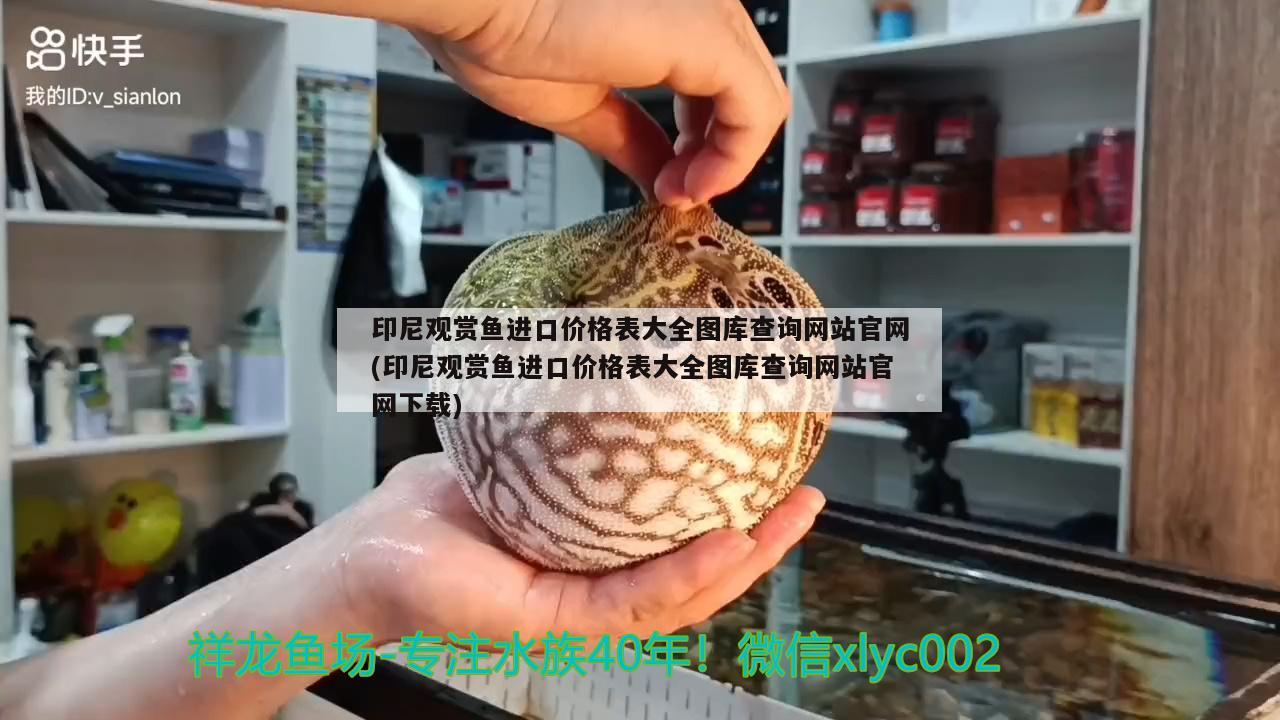 印尼觀賞魚進口價格表大全圖庫查詢網(wǎng)站官網(wǎng)(印尼觀賞魚進口價格表大全圖庫查詢網(wǎng)站官網(wǎng)下載)