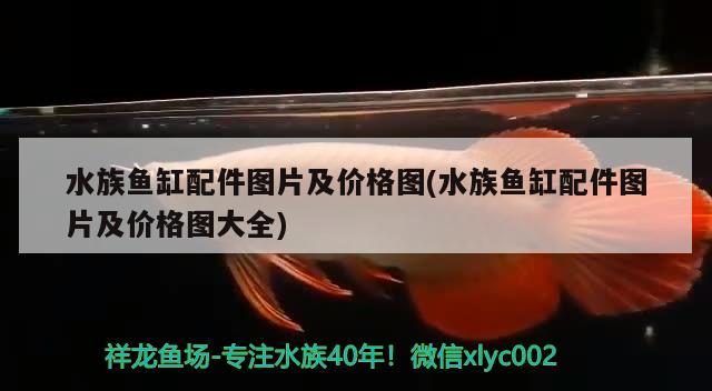 紫外線消毒魚(yú)缸過(guò)濾器：保障魚(yú)兒健康的必備裝備裝備工作原理，紫外線消毒魚(yú)缸過(guò)濾器：保障魚(yú)兒健康的必備裝備