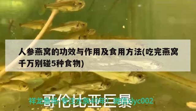 哈爾濱魚缸廠家電話號(hào)碼查詢的全面指南，哈爾濱魚缸廠家電話號(hào)碼查詢?nèi)嬷改? title=