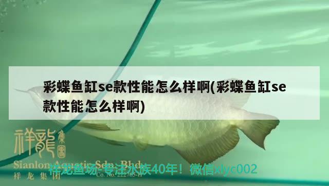 彩蝶魚缸se款性能怎么樣啊(彩蝶魚缸se款性能怎么樣啊)