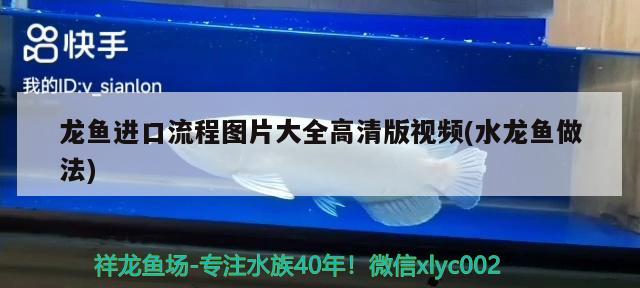 宿州水族批發(fā)市場地址電話號碼(宿州水產(chǎn)批發(fā)市場在哪)