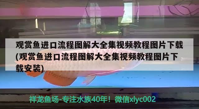 1.2米魚缸標準尺寸圖集(16米魚缸尺寸) 祥龍金禾金龍魚 第2張