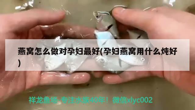 燕窩怎么做對孕婦最好(孕婦燕窩用什么燉好) 馬來西亞燕窩 第2張