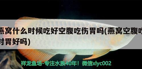 燕窩什么時候吃好空腹吃傷胃嗎(燕窩空腹吃對胃好嗎) 馬來西亞燕窩