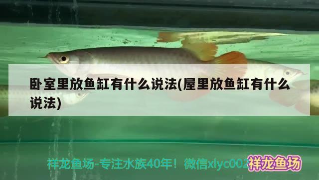 柘城賣魚缸的地方在哪里柘城賣魚缸的建議聯(lián)系柘城魚缸專賣店，柘城賣魚缸的地方在哪里啊柘城賣魚缸的地方在哪里啊