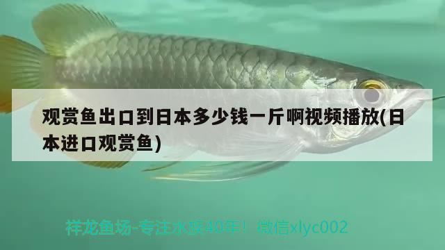 蘇州哪里賣(mài)魚(yú)缸好賣(mài)和徐州哪里賣(mài)魚(yú)缸對(duì)應(yīng)的相關(guān)信息，蘇州哪里賣(mài)魚(yú)缸好賣(mài) 魚(yú)缸凈水劑 第1張