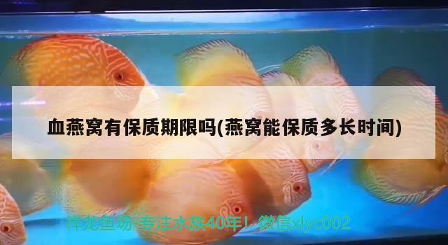 微小魚缸造景圖片高清(小魚缸微景觀圖片) 廣州觀賞魚批發(fā)市場