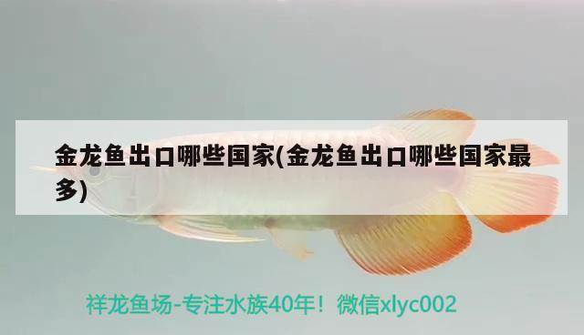 祥龍魚場外掛專用過濾器過濾器的作用，水族箱過濾器的使用 祥龍魚場 第2張