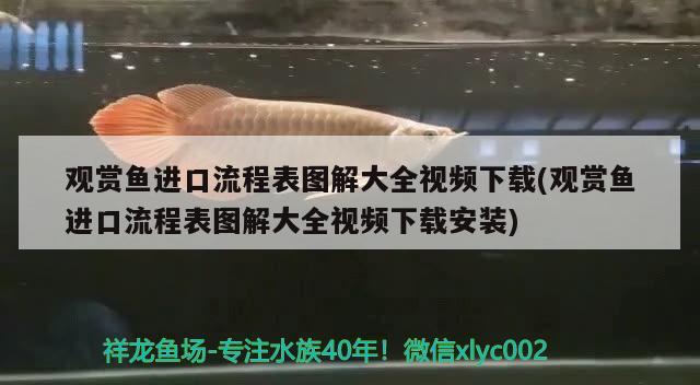 觀賞魚進(jìn)口流程表圖解大全視頻下載(觀賞魚進(jìn)口流程表圖解大全視頻下載安裝) 觀賞魚進(jìn)出口