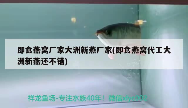 即食燕窩廠家大洲新燕廠家(即食燕窩代工大洲新燕還不錯) 馬來西亞燕窩