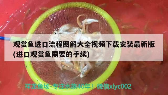 金華水族館啥時候才能長大呀