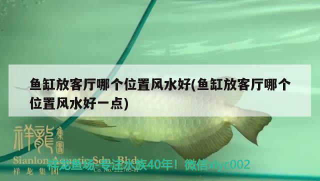 魚缸放客廳哪個位置風水好(魚缸放客廳哪個位置風水好一點) 魚缸風水