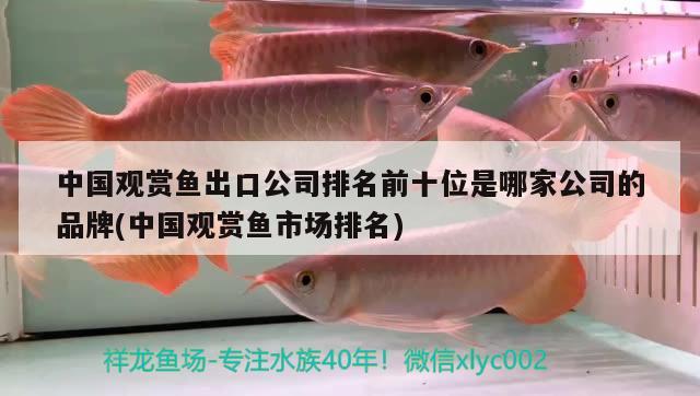 中國觀賞魚出口公司排名前十位是哪家公司的品牌(中國觀賞魚市場排名) 觀賞魚進出口