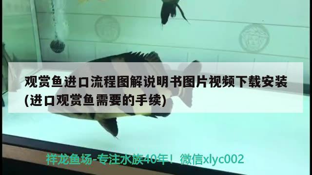 觀賞魚進口流程圖解說明書圖片視頻下載安裝(進口觀賞魚需要的手續(xù)) 觀賞魚進出口