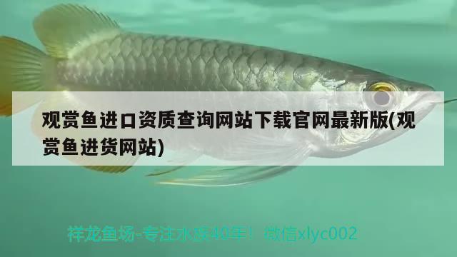 23厘米的魚(yú)缸造景多少錢（23厘米的魚(yú)缸造景多少錢一個(gè)）