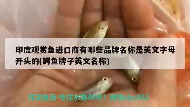 印度觀賞魚進口商有哪些品牌名稱是英文字母開頭的(鱷魚牌子英文名稱) 觀賞魚進出口